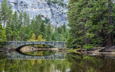 Why Law Firm Websites Need Evergreen Content & Blog Content
