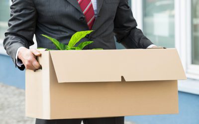 Fire Your Law Firm SEO Expert Today: 2 Compelling Reasons