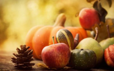 Holiday Blog Ideas For Lawyers