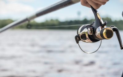Is Your Law Firm Website Content Focused On Your Target Audience?