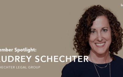 LawLytics Spotlight: Audrey Schechter