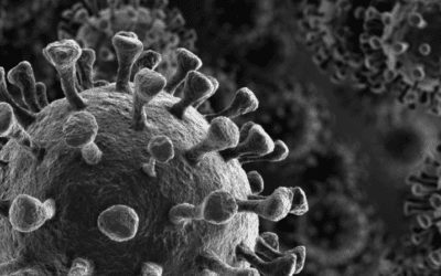 Coronavirus and your small law firm: How to ensure your business survives and thrives
