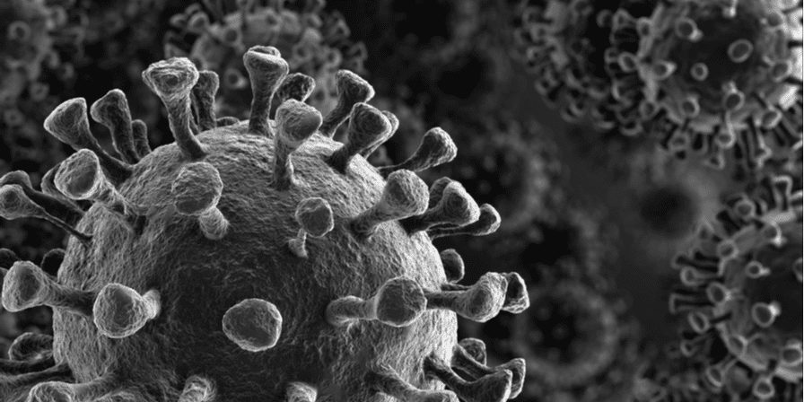 Coronavirus and your small law firm: How to ensure your business survives and thrives